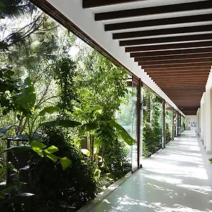 The Lifeco Bodrum Well-being Detox Center&vegan Göltürkbükü